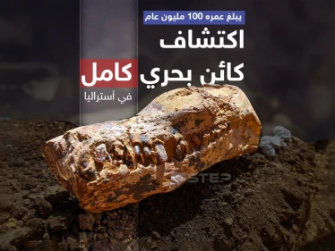 اكتشاف كائن بحري بأستراليا قدّر العلماء عمره بـ 100 مليون عام