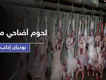 بالصور|| منظمات ترمي أطنان من لحوم الأضاحي الفاسدة بوديان إدلب والمخيمات لم ترى منها شيء