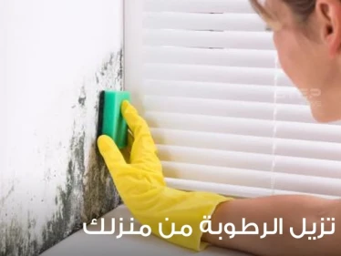 دع منزلك يتنفس بشكل مريح: طرق طبيعية وسهلة لمنع الرطوبة