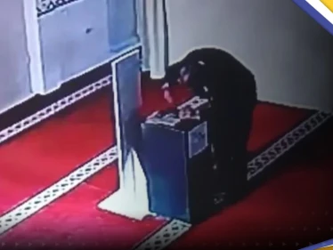 بالفيديو || كاميرات مراقبة تلتقط لصاً يتظاهر بالصلاة لسرقة أموال التبرعات في مسجد