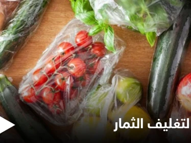 سائل تغليف الثمار.. يجف ليصبح كيساً بلاستيكياً إليك التفاصيل