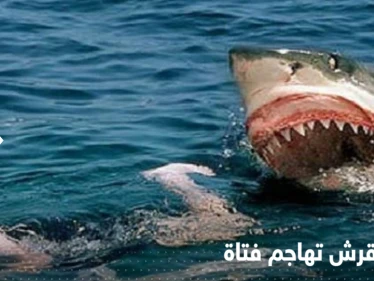 بالفيديو|| "صدمة" الناس على شاطئ استرالي بعد مهاجمة سمكة قرش لفتاة نزلت للبحر