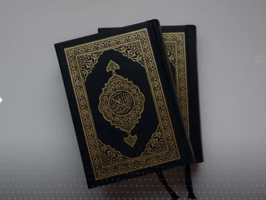 تحرك عربي بعد قيام حركة متطرفة بتمزيق نسخة من المصحف في هولندا