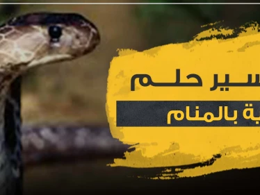تفسير حلم الحية بالمنام بأكثر من 5 روايات ووفق كل الأوضاع