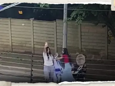 بالفيديو|| امرأة علقت علم فلسطين بمنزلها في دولة أفريقية وتفاجأت بردة فعل إسرائيليات تحت شرفتها - وكالة ستيب نيوز