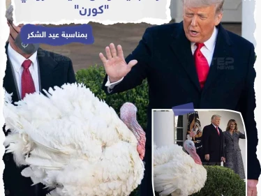 ترامب يعفو عن الديك الرومي "كورن" عملاً بالتقليد السنوي في البيت الأبيض قبل عيد الشكر والذي يستهلك خلاله الأمريكيون على مائدة العشاء مع عائلاتهم 45 مليون ديك رومي سنوياً.