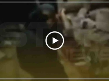 شاهد بالفيديو لحظة سقوط القذائف التي أطلقت من الجانب السوري على الأراضي التركية