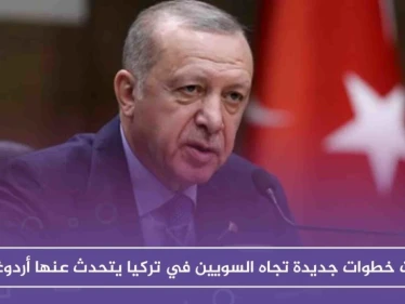 ثلاث خطوات جديدة تجاه السويين في تركيا يتحدث عنها أردوغان