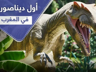 عاش في أنهار المغرب.. اكتشاف أول ديناصور مائي في العالم