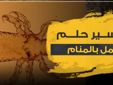 تفسير حلم القمل عند ابن سيرين وعدد من المفسرين