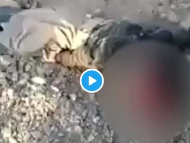 بالفيديو|| ميليشيا الحوثي تقتل طفلاً أثناء إحضاره الماء لأسرته.. والإرياني يكشف حصيلة استهداف منزل زعيم قبلي