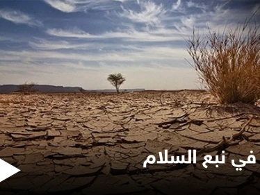 أزمة وقود تعطّل الأفران وتهدد محاصيل زراعية في مناطق "نبع السلام" شمال سوريا