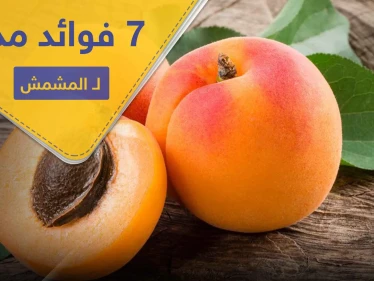 7 فوائد مذهلة لـ المشمش.. بينها الحماية من السرطان