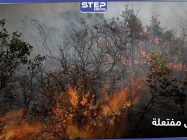 حرائق الساحل السوري تحصد مزيدًا من الضحايا.. وروسيا تتبنى رواية أنها مفتعلة بإشارة لإيران - وكالة ستيب نيوز