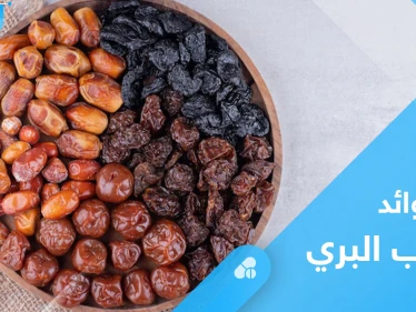العناب البري.. فوائد صحية لا تحصى تعرف عليها