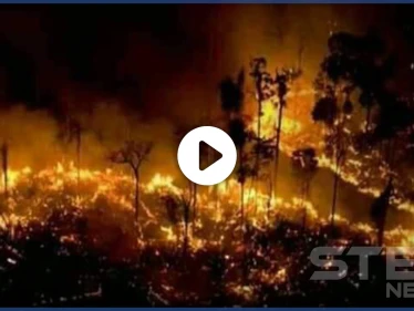 بالفيديو والصور|| الساحل يشتعل.. حرائق الغابات السورية تلتهم الأخضر واليابس بفعل مجهول والنظام عاجز