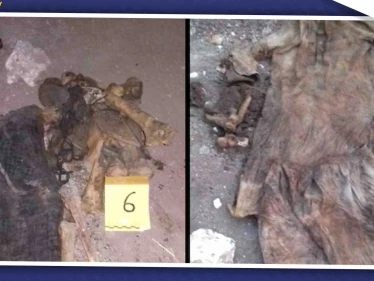 مقبرة جماعية بريف حلب جثثها مقطوعة الرؤوس منهم قيادي بارز في "صقور الشام"، فما قصتها!!