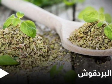 حقيقة أم خرافة.. علاج تكيس المبايض وبطانة الرحم المهاجرة باستخدام البردقوش إليك أهم المعلومات