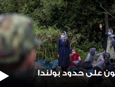 "يغتصبون الأبقار".. أزمة حقيقة يعيشها اللاجئون على حدود بولندا واتهامات تجاوزت الحد