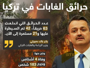 حرائق الغابات في تركيا