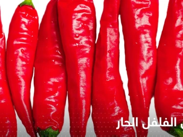 ماذا يحدث لجسمك عند الإفراط في تناول الفلفل الحار!.. علامات احذر منها