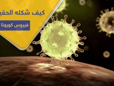 شاهد|| خالف الشكل الذي رسمناه له.. هكذا بدا كورونا بأول صورة تفصيلية
