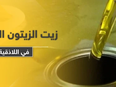 ضبط كمية من زيت الزيتون "الإدلبي" باللاذقية يغضب معارضي النظام السوري ومواليه