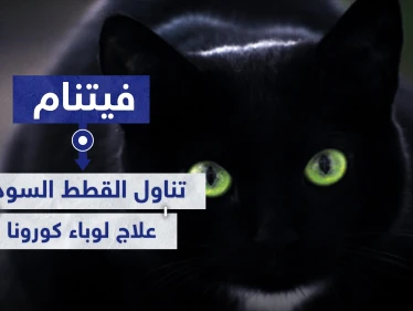 فيتنام تتجه لأكل القطط السوداء ظنًا أنها تعالج المصابين بفيروس كورونا