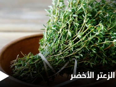 قد يؤدي إلى الإجهاض.. تعرف على مضار الزعتر الأخضر على المرأة الحامل