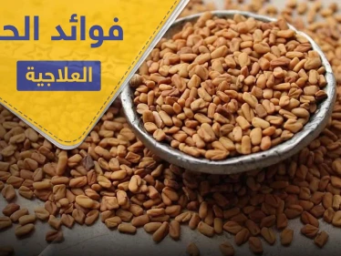 فوائد الحلبة للمرأة والمرضع ومحاربة الأمراض المزمنة ومنها السكري