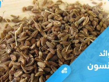 فوائد اليانسون على الريق.. معلومات عليك معرفتها