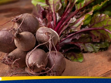 دراسة جديدة تكشف مفاجأة غذائية: الشمندر قد يعزز اللياقة مع التقدم في العمر - وكالة ستيب نيوز