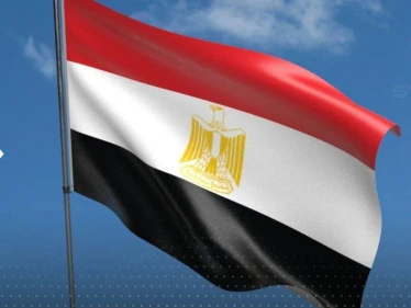 انتبهوا من هذه الألوان.. مصر تصدر تعليمات تتعلق بتصرفات تجذب القروش