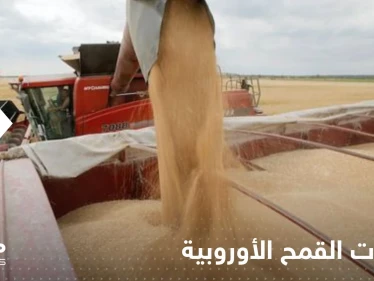 في موسم تظلله الحرب.. صادرات القمح الأوروبية تتحول إلى المغرب