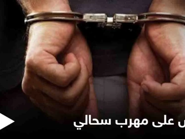 رجل يحاول تهريب 200 سحلية إلى مصر بطريقة غريبة