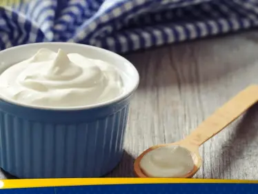 فوائد صحية غير متوقعة لتناول الزبادي يومياً - وكالة ستيب نيوز