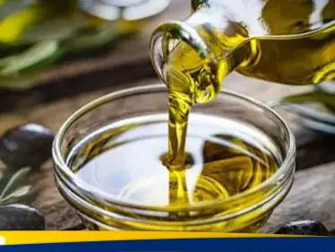 زيت الزيتون.. “الذهب السائل” بين إرث الحضارات وإثباتات العلم الحديث - وكالة ستيب نيوز