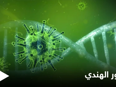 المتحور الهندي يصل لعدد من الدول العربية.. ومسؤول سوري هناك طريقتين لدخول الطفرة لبلدنا