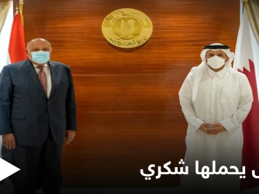 سامح شكري من الدوحة: لدينا رسالة قوية لإثيوبيا ونتحفّظ على سياسات أنقرة