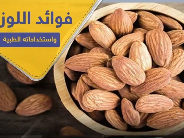 فوائد اللوز المر واستخداماته الطبية.. ومضاره وآثاره الجانبية