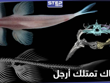 بالصور|| اكتشاف علمي حديث.. هذه الأنواع من الأسماك تمتلك أرجل وتمشي على الأرض