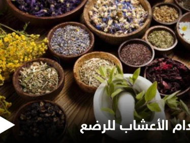 هل من الآمن استخدام الأعشاب للرضع وكيفية استخدامها إليك أهم المعلومات