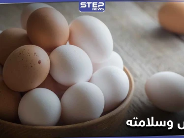 أخطر على صحة الإنسان من السم.. 6 أنواع من البيض يحذر الخبراء منها