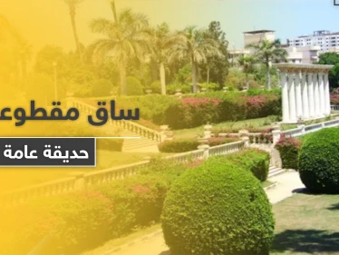 العثور على ساق لفتاة مدفونة في حديقة عامة وسط حلب والطب الشرعي يوضح