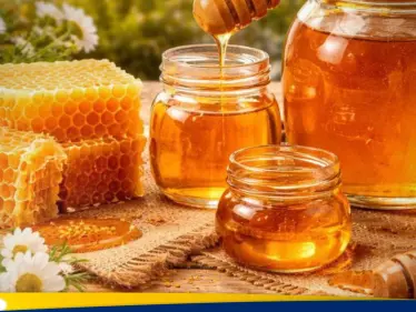 ذهب الطبيعة في آسيا.. أسرار العسل الأصلي بين الجودة والغش - وكالة ستيب نيوز