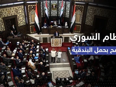 قانون جديد في سوريا يسمح للمدنيين حيازة الأسلحة بشروط - وكالة ستيب نيوز