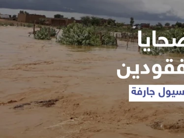 بالفيديو|| قتلى ومفقودين بعد اجتياح الأمطار لإيران والهند وتشكل سيول جارفة خارجة عن السيطرة