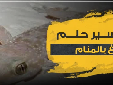 تفسير حلم الوزغ في المنام بجميع دلالاته وحسب ألونه
