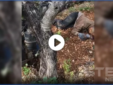 بالفيديو|| بين الذبح والإعدام بالرصاص.. مجزرة مروعة بحق سوريين ولبنانيين جنوبي العاصمة بيروت