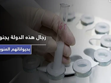 الحيوانات المنوية توفر دخلاً مادياً كبيراً في هذه الدولة.. وهذه هي الطريقة